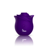 Zen Rose - Violet