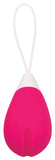 Remote Control Egg - Pink