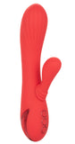 California Dreaming Palisades Passion - Coral